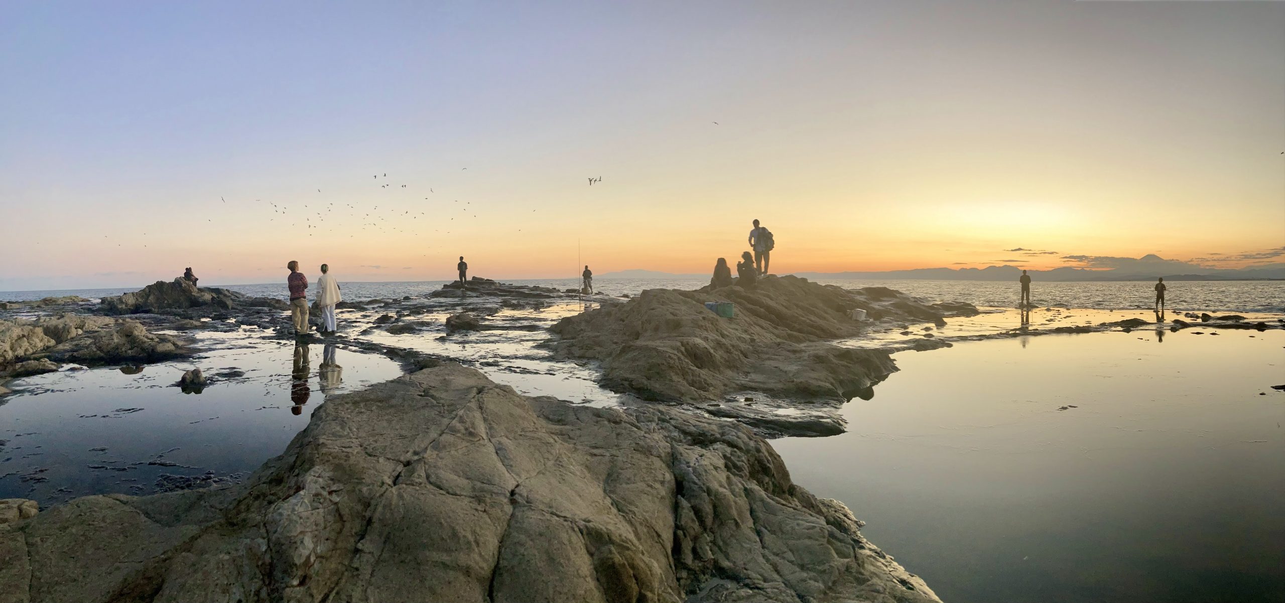 People fishing near ocean with sunset